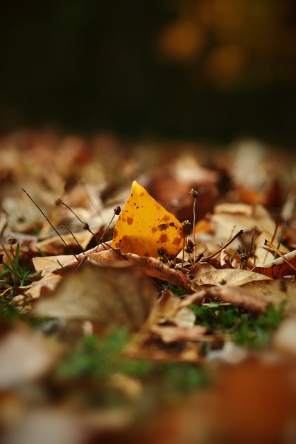 戲劇性的對 戲劇性的對