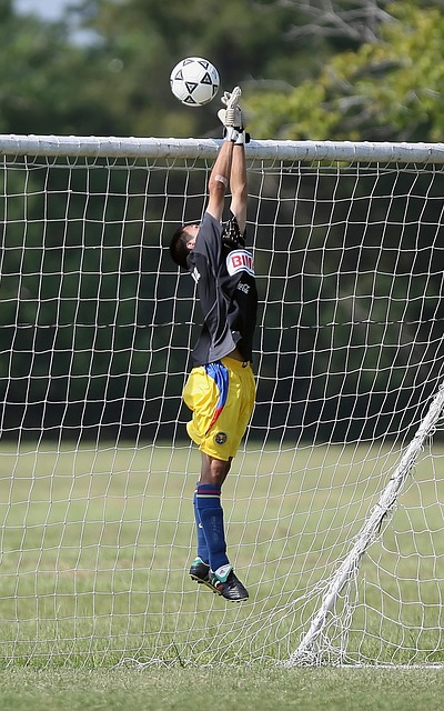 澳洲网球公开赛｜10连胜德米纳尔 辛纳半决赛斗谢尔顿.