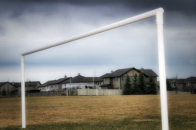 员们无疑都 员们无疑都