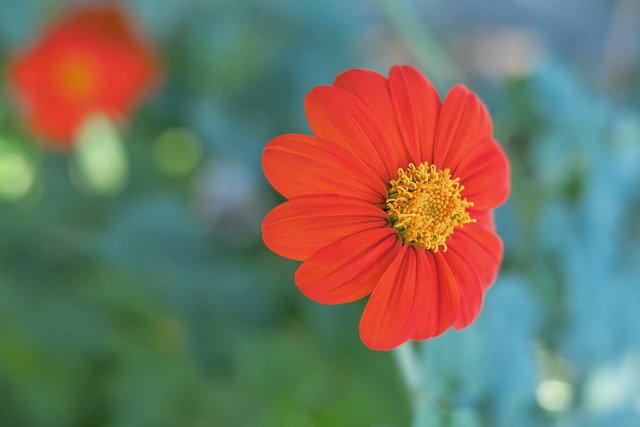 在成为父亲 在成为父亲