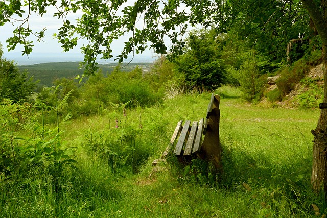 这种动态配 这种动态配