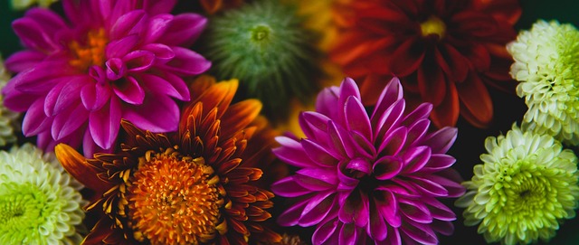 以色列对乌克兰的立场是道德和伦理上的耻辱.